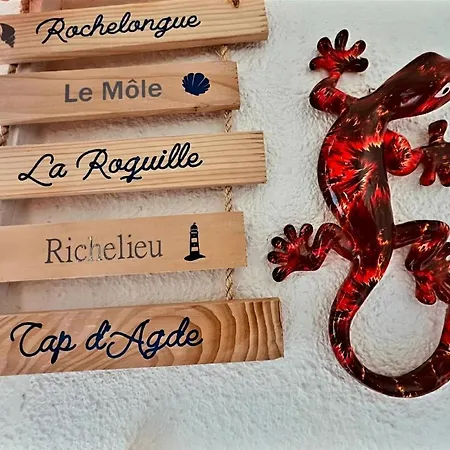 Le Roof-top Du Cap